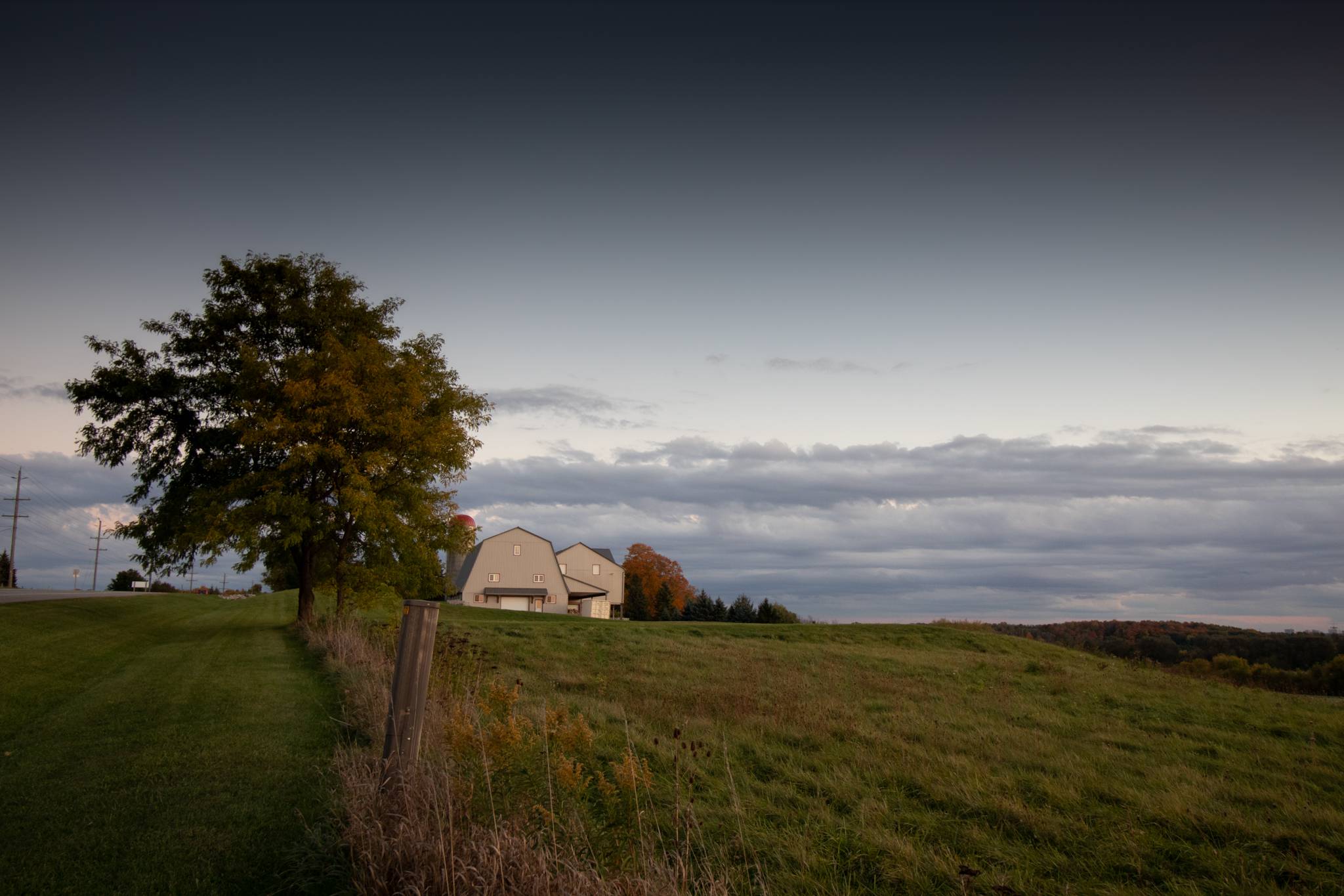 picture of field with tree and barn